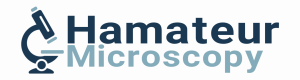 amateurmicroscopy logo